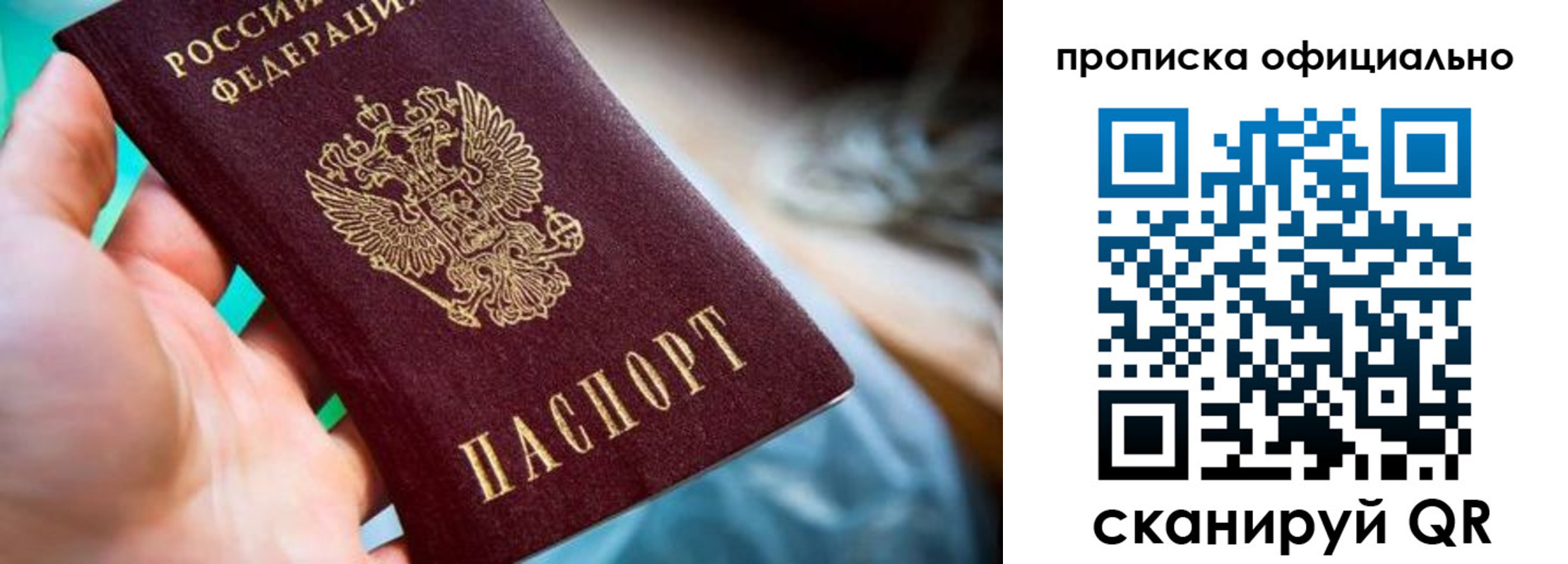 прописка поиск в Каменке